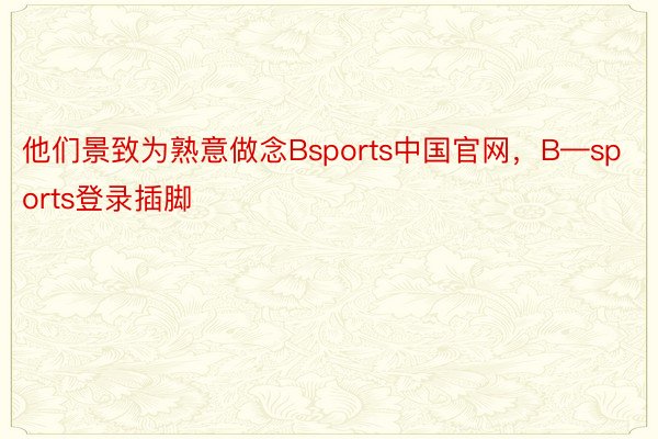 他们景致为熟意做念Bsports中国官网，B—sports登录插脚